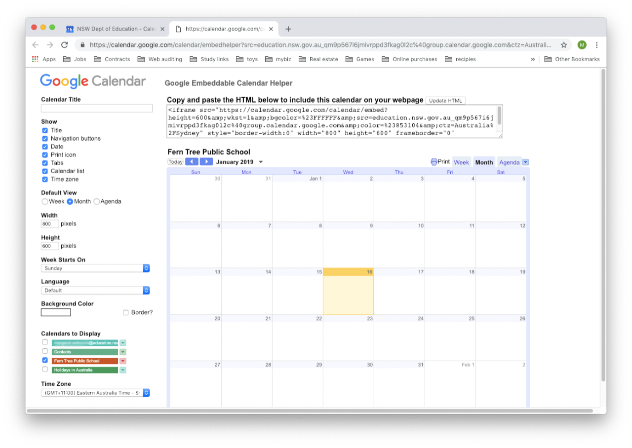 Google calendar customisation options for the embed.